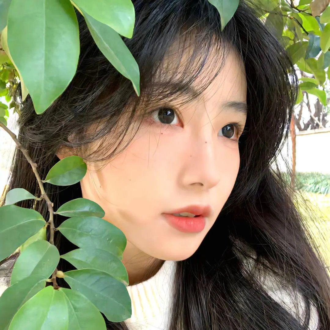 杀人丛林